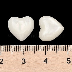 Opaque Resin Decoden Cabochons&nbsp;CRES-I036-16C