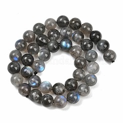 Natural Labradorite Beads Strands&nbsp;G-Z133-A01-10mm-02