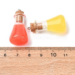 Transparent Resin Pendants&nbsp;RESI-K048-04