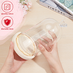Bird Glass Dome Cover&nbsp;AJEW-WH0323-79