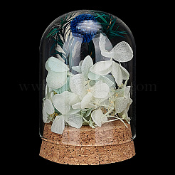 Glass Dome Cover&nbsp;AJEW-WH0307-70