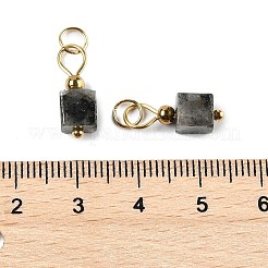 Natural Labradorite Pendants&nbsp;STAS-Z129-01G-03