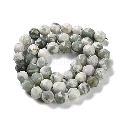 Natural Peace Jade Beads Strands&nbsp;G-NH0021-A08-01
