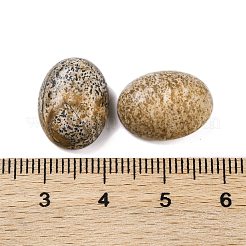 Natural Picture Jasper Cabochons&nbsp;G-B085-06C-03