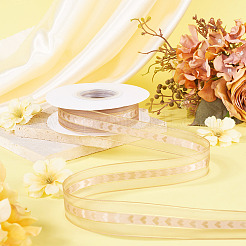 Polyester Lace Ribbon&nbsp;OCOR-TADJ0001-07F