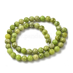 Dyed Natural Dolomite Beads Strands&nbsp;G-D337-8mm-D04