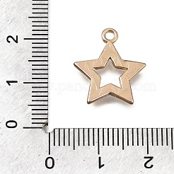 Alloy with Enamel Pendants&nbsp;AL-CBA2F44-02G