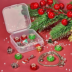 DIY European Bracelet Making Kit&nbsp;DIY-YW0005-87
