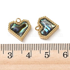 Natural Paua Shell Pendants&nbsp;STAS-G397-05G-02