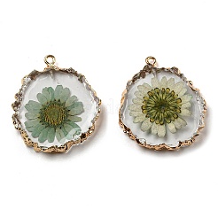 Inner Dried Flower Resin Pendants&nbsp;RESI-P028-02KCG-02