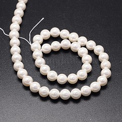 Shell Pearl Beads Strands&nbsp;BSHE-E008-6mm-12
