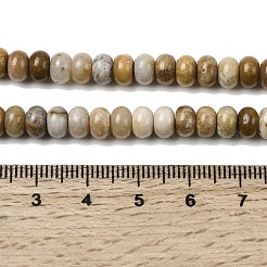Natural Fossil Coral Beads Strands&nbsp;G-A280-A08-01