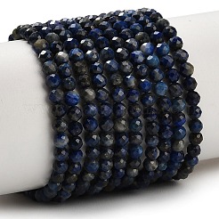Natural Lapis Lazuli Beads Strands&nbsp;G-F838-A03-4mm
