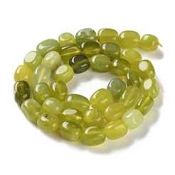 Natural Lemon Jade Beads Strands&nbsp;X-G-P497-01D-04