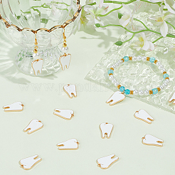 60Pcs Alloy Enamel Pendants&nbsp;ENAM-SC0008-03
