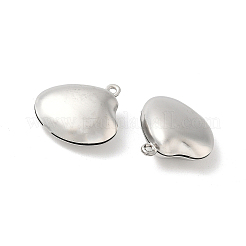 316 Stainless Steel Pendants&nbsp;STAS-D143-01B-P