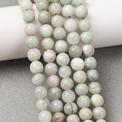 Natural Myanmar Jade/Burmese Jade Beads Strands&nbsp;G-D0001-08-6mm-01