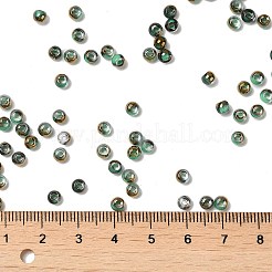 Glass Seed Beads&nbsp;X1-SEED-H002-B-D221