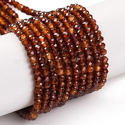 Natural Garnet Beads Strands&nbsp;G-F770-D03-02