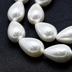 Electroplate Shell Pearl Beads Strands&nbsp;BSHE-G010-16x25mm-01