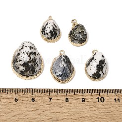 Brass & Natural Shell Pendants&nbsp;SH-CBA27C9-05