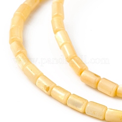 Natural Freshwater Shell Dyed Beads Strands&nbsp;X-SHEL-M018-12-01