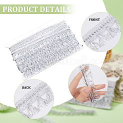 15 Yards Filigree Polyester Lace Fringe Trim&nbsp;OCOR-WH0089-13B