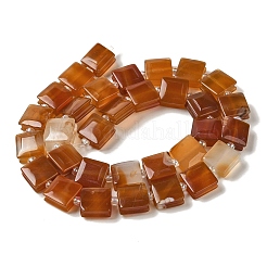 Natural Red Agate Beads Strands&nbsp;G-L596-A21-01