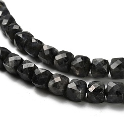 Natural Larvikite Beads Strands&nbsp;G-H078-C18-01