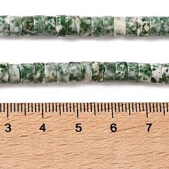 Natural Green Spot Jasper Beads Strands&nbsp;G-M420-A18-01