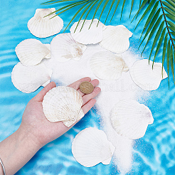 60Pcs Natural Shell Jewelry Decorative Plate&nbsp;AJEW-PH0008-16A