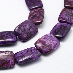 Natural Crazy Lace Agate Beads Strands&nbsp;G-L472-C-02B-25x18mm
