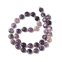 Natural Lepidolite Beads Strands&nbsp;G-C116-A09-02