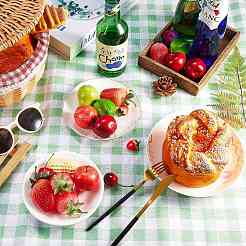 Portable Tartan Patern Non Woven Picnic Mat&nbsp;JX572B-01