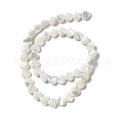 Natural Trochid Shell/Trochus Shell Beads Strands&nbsp;SHEL-F003-08A