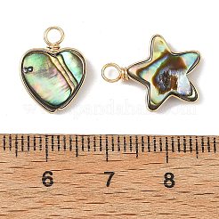 Natural Paua Shell Pendants&nbsp;PALLOY-JF05911