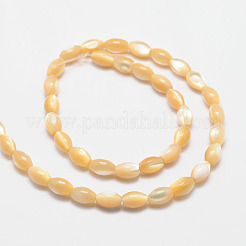 Natural Sea Shell Oval Bead Strands&nbsp;SSHEL-M016-01B