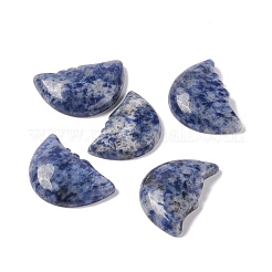 Natural Sodalite Cabochons&nbsp;G-E579-02I