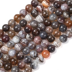 Natural Botswana Agate Beads Strands&nbsp;G-G453-A01-8mm