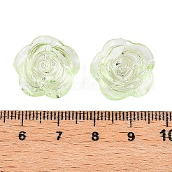 Transparent Acrylic Beads&nbsp;OACR-N137-32C