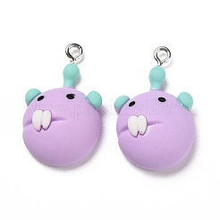 Opaque Resin Pendants&nbsp;RESI-G028-20P