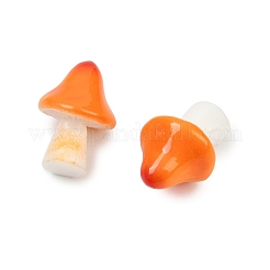 Mushroom Themes Resin Display Decorations&nbsp;DJEW-S002-01A