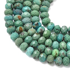 Natural HuBei Turquoise Beads Strands&nbsp;G-P629-B02-01