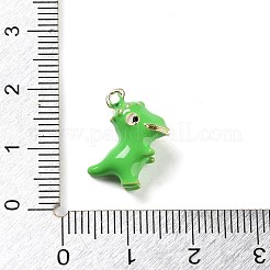 Alloy Enamel Pendants&nbsp;ENAM-H043-01G-08