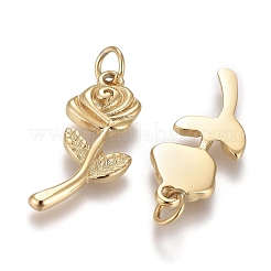 Valentine's Day Ion Plating(IP) 304 Stainless Steel Pendants&nbsp;X-STAS-I164-019G