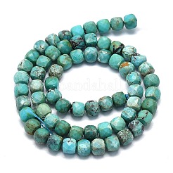Natural HuBei Turquoise Beads Strands&nbsp;G-G106-G01-02