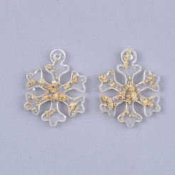 Resin Pendants&nbsp;X-RESI-T040-004