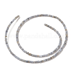 Natural Freshwater Shell Beads Strands&nbsp;X-SHEL-P017-01A-13