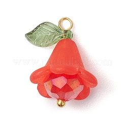 6Pcs Acrylic & Glass Pendants&nbsp;PALLOY-TA00192