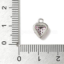 Brass Micro Pave Cubic Zirconia Charms&nbsp;KK-I276-41P